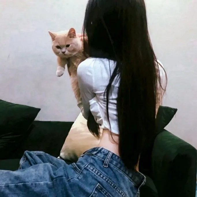 圣经故事